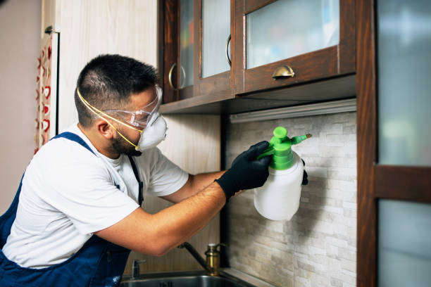 Best Best Pest Control Companies  in Clermont, IN