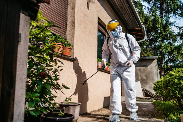 Best Termite Control Services  in Clermont, IN