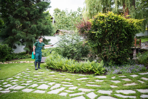 Best Ant Control Services  in Clermont, IN